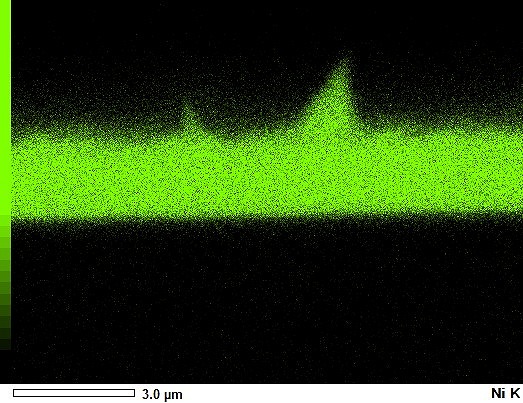 粗化ニッケル_断面10000倍Ni_EDS.jpg