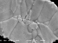 Cross section observation with SEM